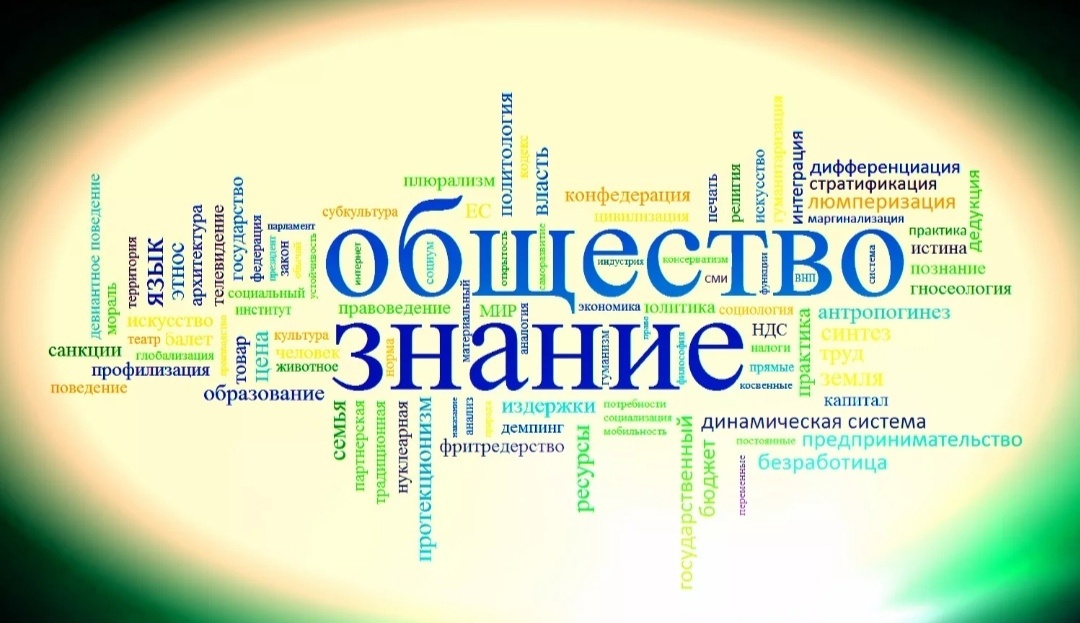 Минакова Дарья - призер областной олимпиады по обществознанию.